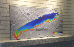 Falcon Lake print map