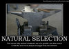 natural-selection-hammer-anvil-best-demotivational-posters.jpg