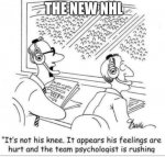 The new NHL.jpg